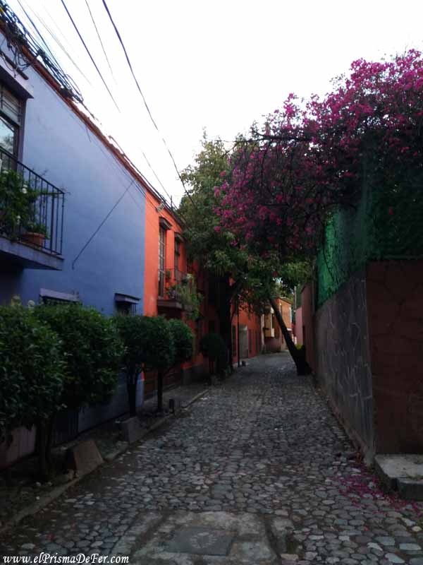 Calle en el barrio de Coyoacán - Ciudad de México