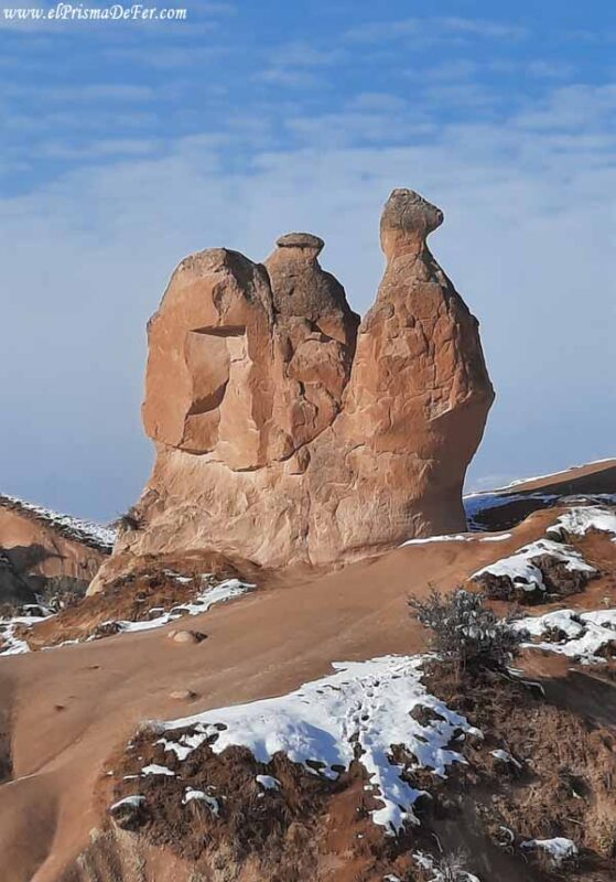 Roca con forma de camello en el Valle de la Imaginación