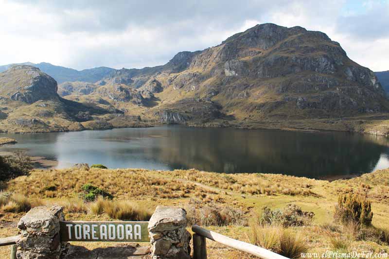 Mirador de la Laguna Toreadora en el Parque Nacional Cajas - Ecuador