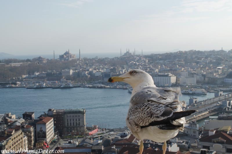 Vista desde el mirador de la Torre Galata
