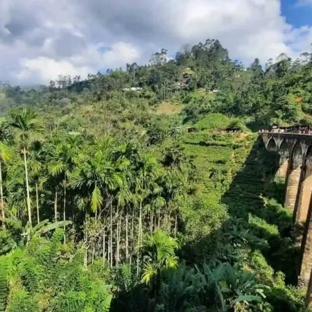 Qué hacer en Ella, el lugar que más me gustó en Sri Lanka