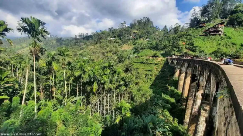 Famoso viaducto del tren en Ella, Sri Lanka