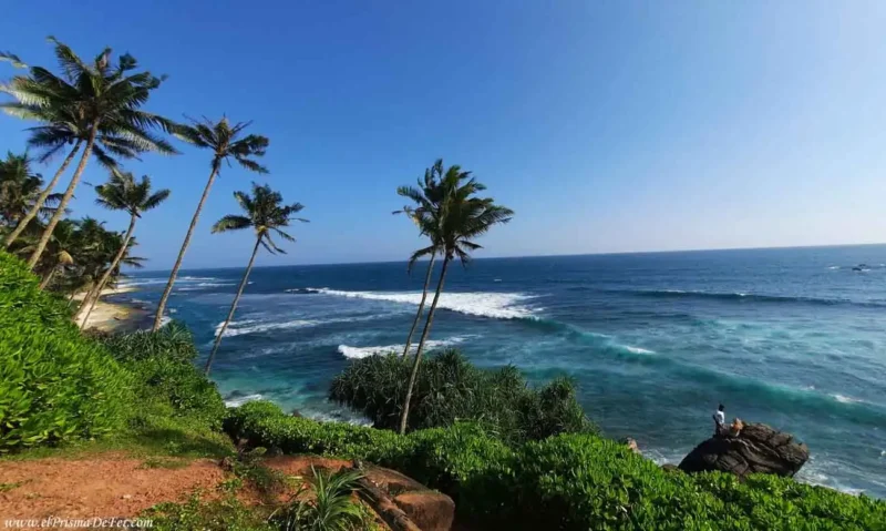 Costa de la Playa de Mirissa en Sri Lanka