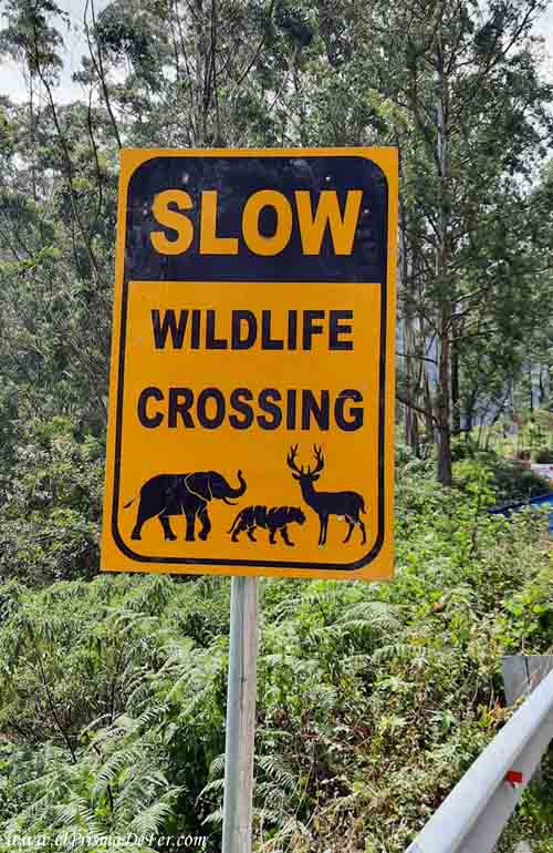 Cartel de advertencia de cruce de animales salvajes