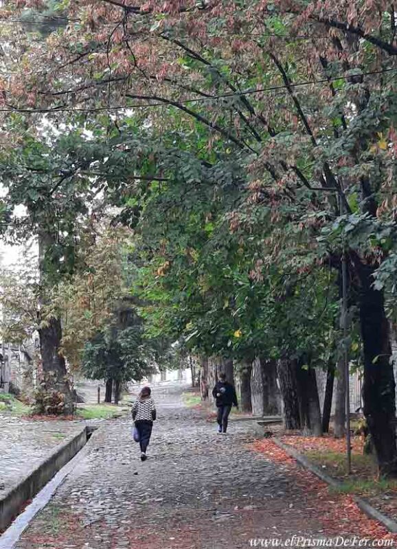 Una calle en subida arbolada en Sheki