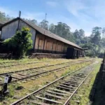 Tren que une Kandy y Ella en Sri Lanka