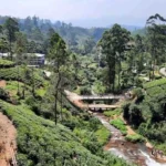 Paisajes que se ven durante el viaje de tren desde Kandy hasta Ella