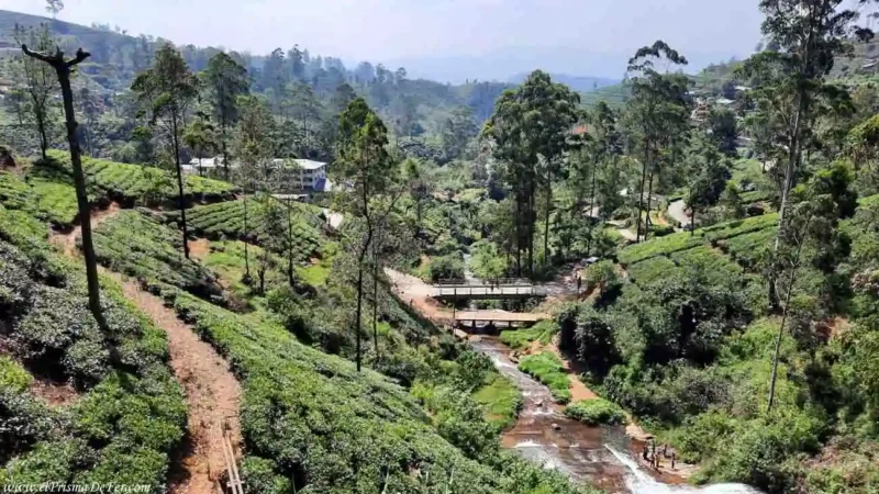 Paisajes que se ven durante el viaje de tren desde Kandy hasta Ella
