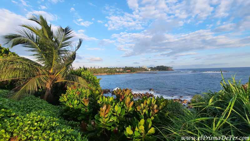 Paisaje típico de las playas de Sri Lanka, verde y azul