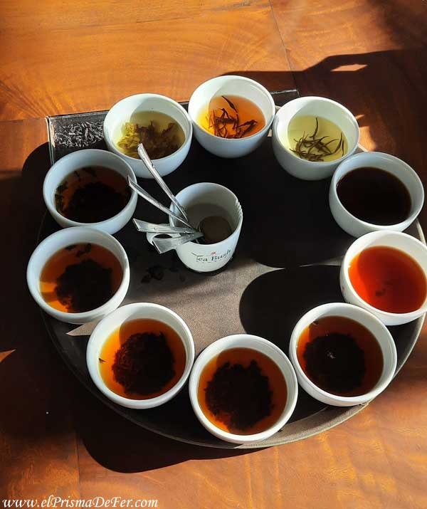 Degustación de Té en Sri Lanka