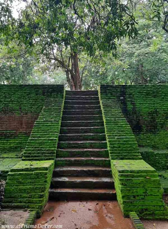 La ciudad antigua de Polonnaruwa envuelta en la naturaleza