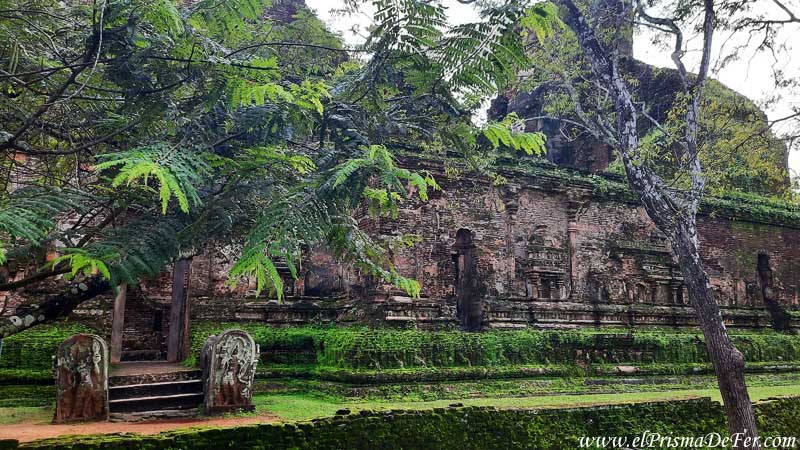 Ruinas de Polonnaruwa mezclados con la naturaleza