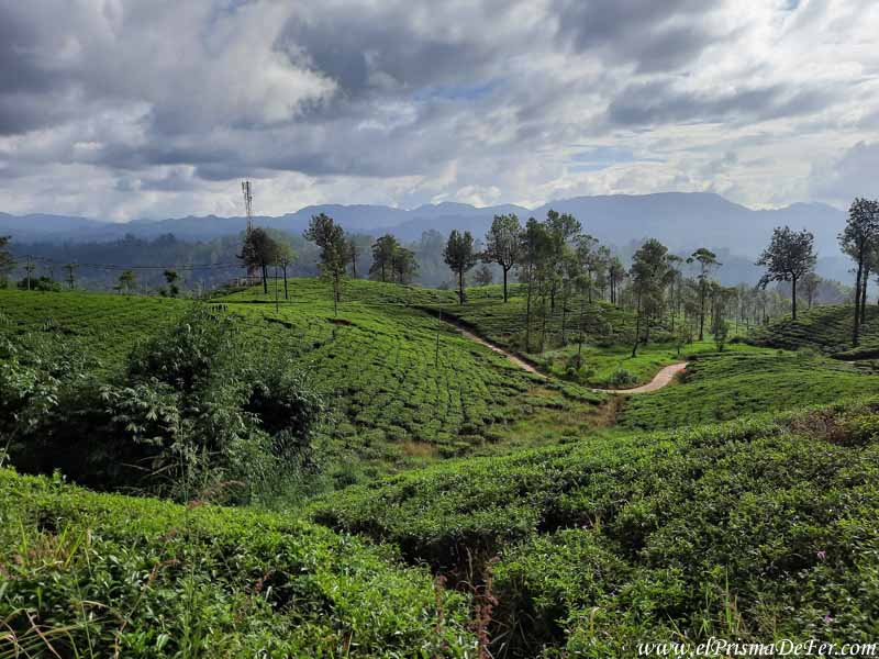 Vista desde el tren que va de Kandy a Ella - Sri Lanka