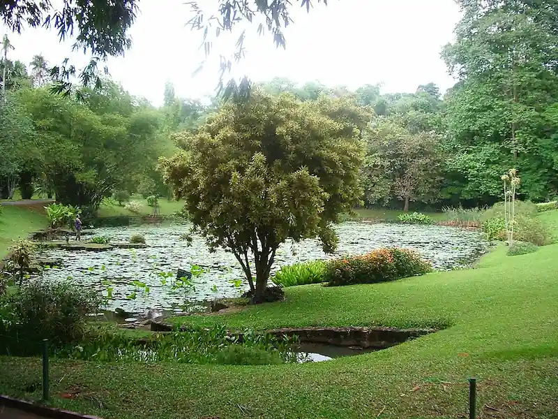 Jardín Botánico de Peradeniya