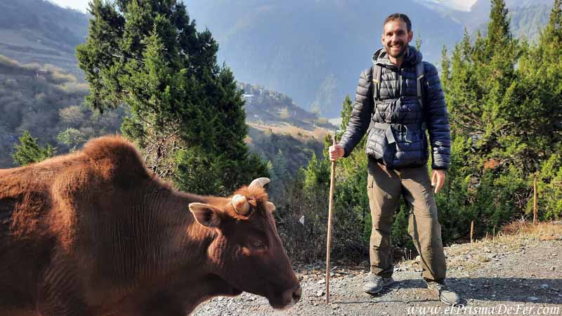 Haciendo trekking en Nepal con compañía