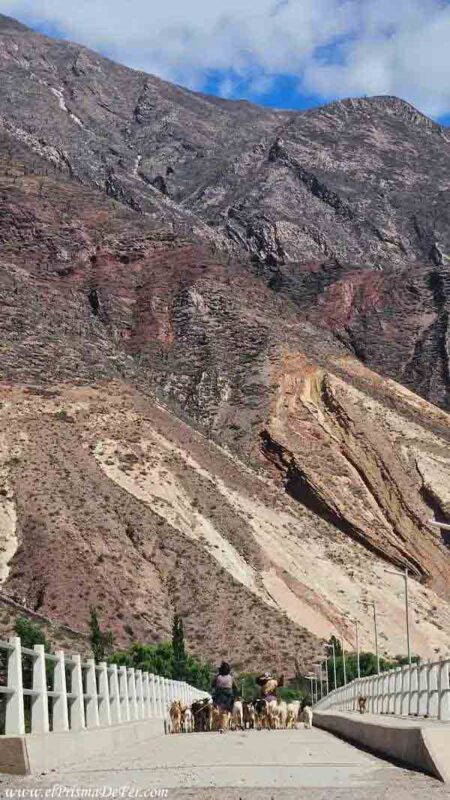 Mujeres con ovejas cruzando el puente de Maimará