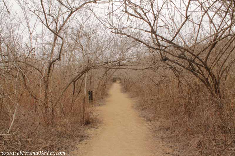 Sendero a la Playa Los Frailes - Parque Nacional Machalilla