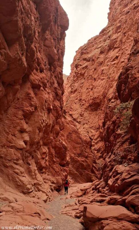 Trekking en la Quebrada de las Señoritas - Uquía