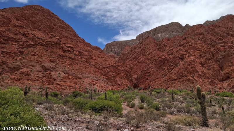 Paisajes de aridez y formaciones rocosas de arenisca en Uquía