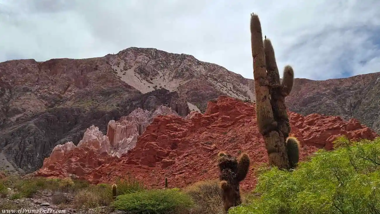 Cerros de colores y cactus durante el trekking en la Quebrada de las Señoritas