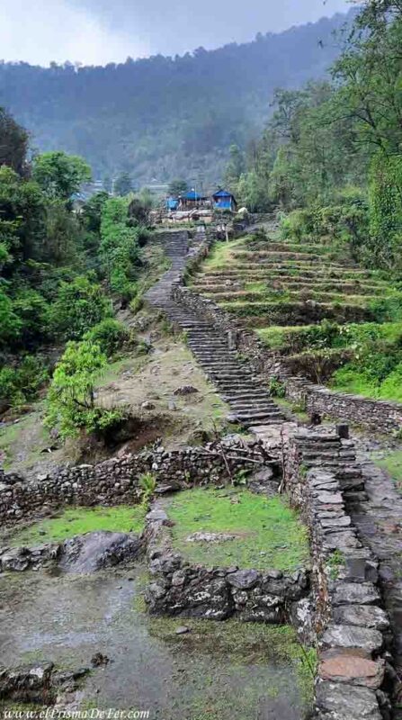 Escaleras de Chhomrong - Nepal