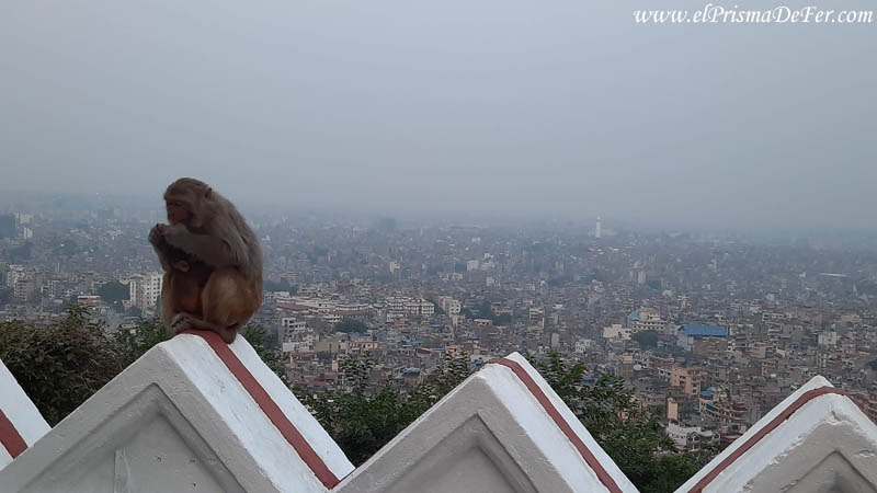 Mirador desde el templo de los monos Swayambhunath