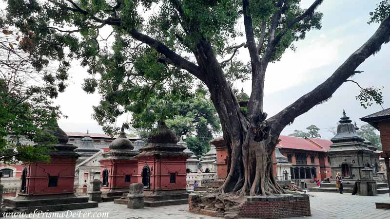 Ruinas que se ven al entrar al predio del templo Pashupatinath por el ingreso lateral