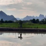 Campos de arrozales en Yangshuo