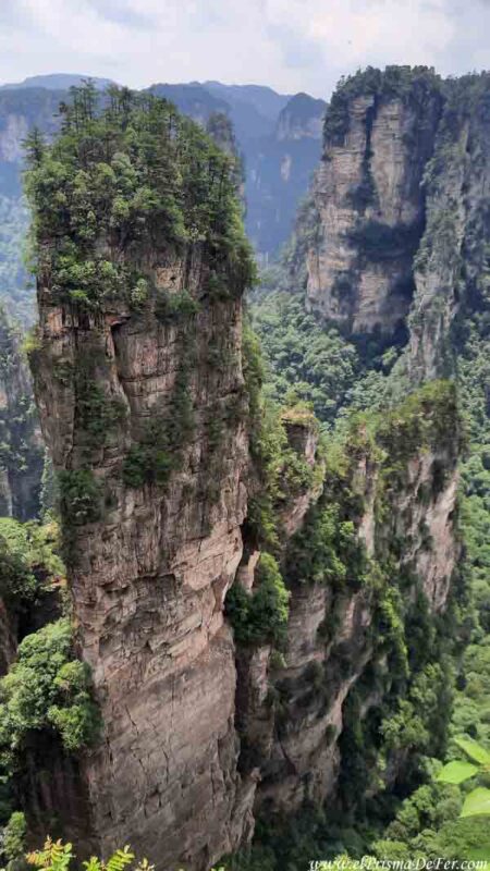 Los pilares están cubiertos con vegetación - Zhangjiajie