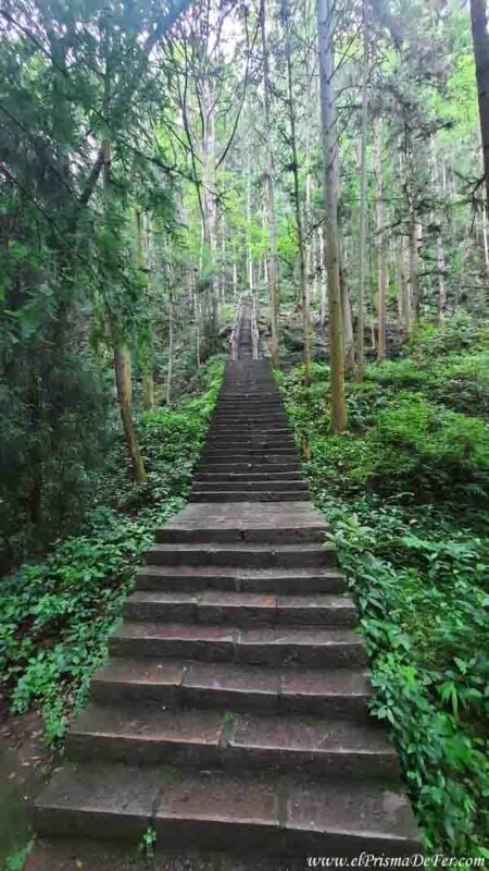Escaleras hacia Huangshi Village - Parque Zhangjiajie