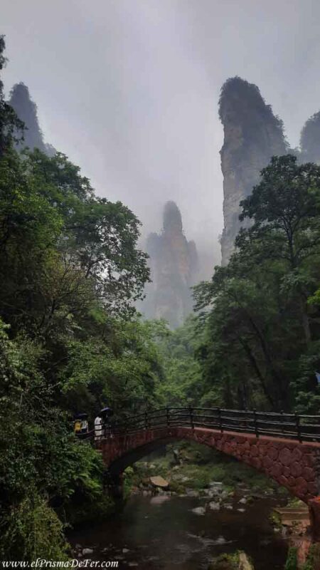 Otra atmósfera en el sendero Golden Whip Stream con la niebla