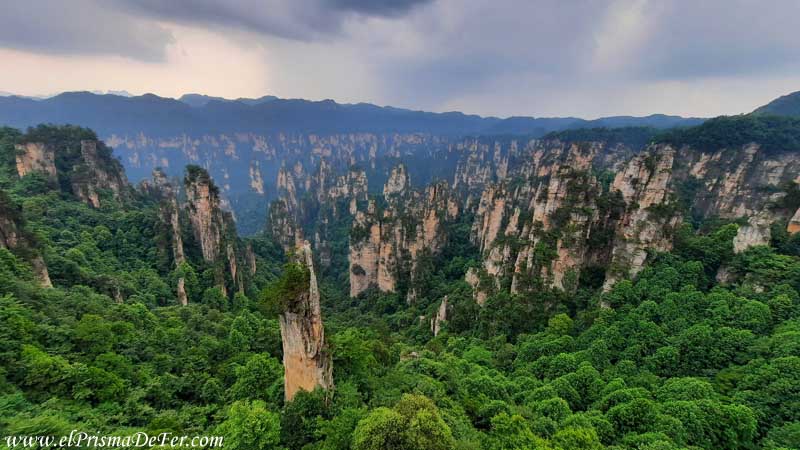Vista de los pilares desde Tianzi Mountain - Parque Zhangjiajie