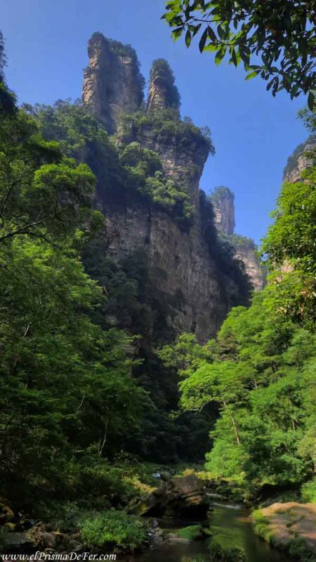 Caminás bordeando el río y viendo los pilares de roca - Zhangjiajie