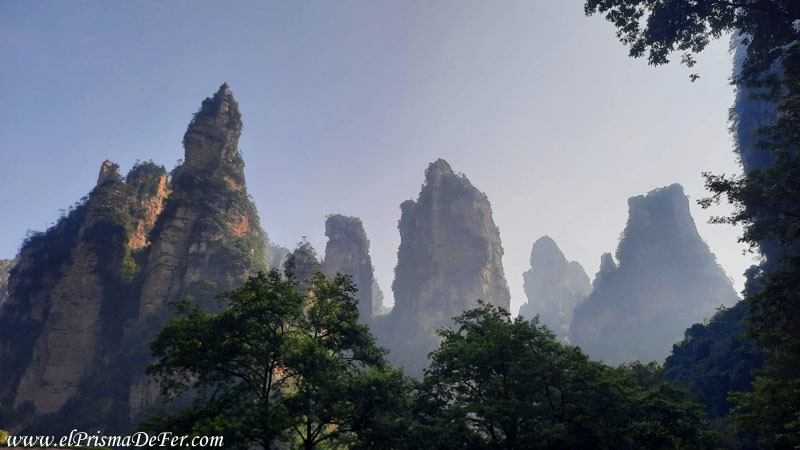 Recomiendo recorrer todo el sendero Golden Whip Stream, las vistas son increíbles - Zhangjiajie