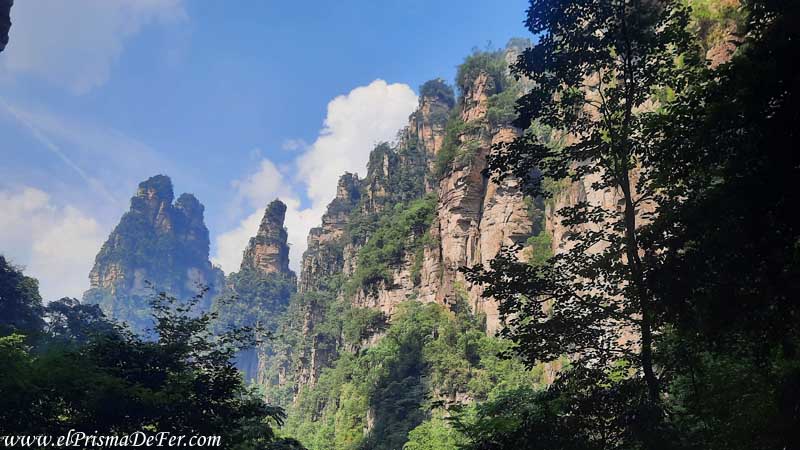 Vista desde el sendero Golden Whip Stream en el Parque Zhangjiajie