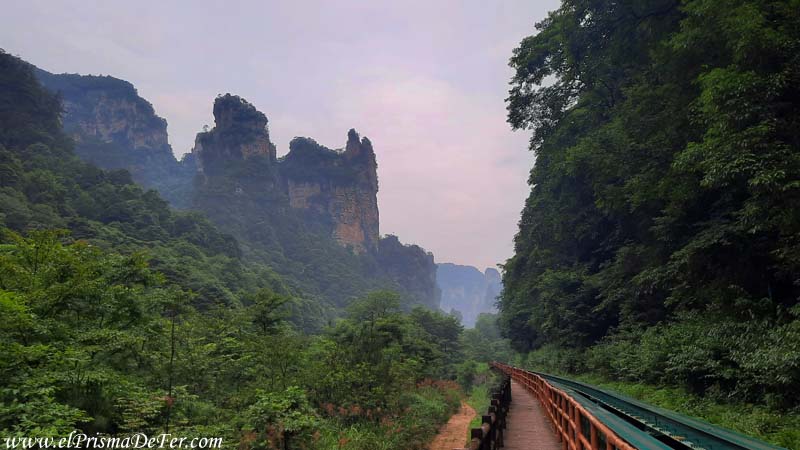 Sendero Ten Mile Natural Gallery - Parque Zhangjiajie