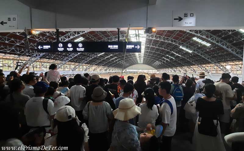 Repleto de turistas chinos mirando los Guerreros de Terracota